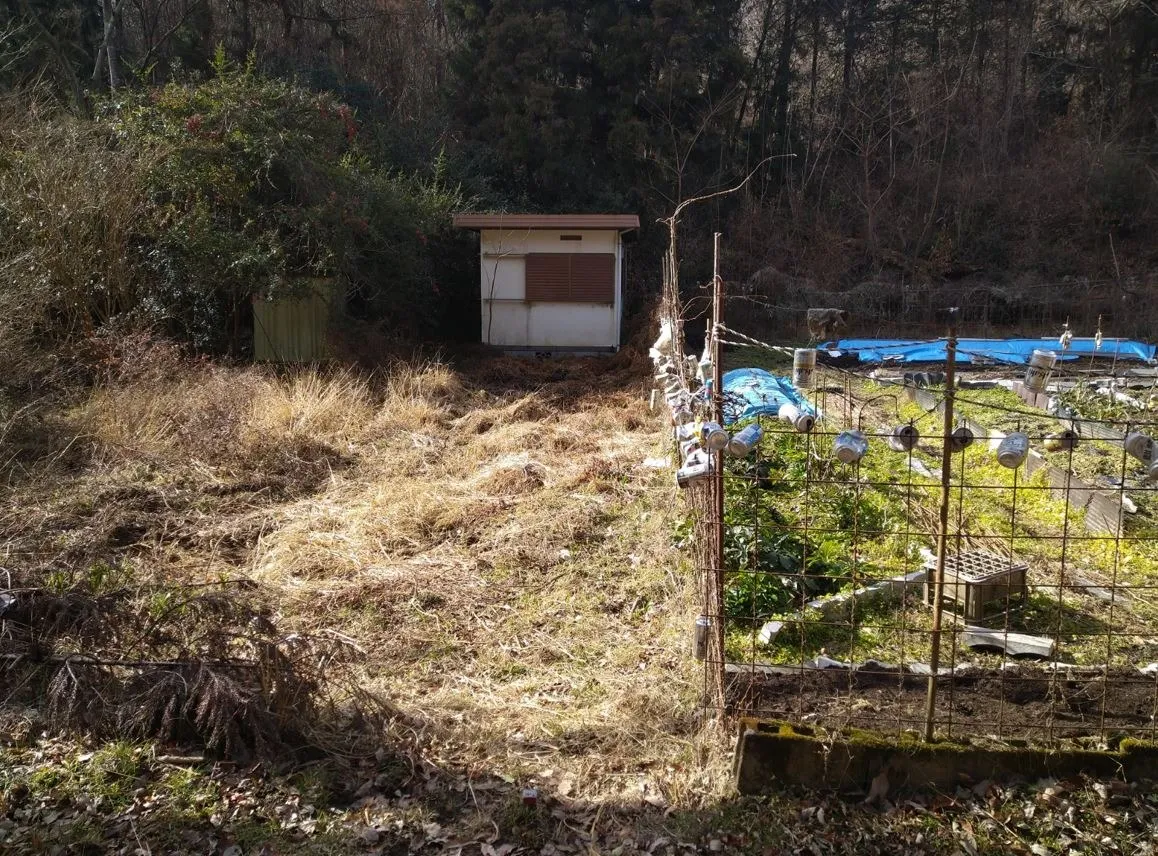 【土地紹介】兵庫県宝塚市～波豆下山の山林～