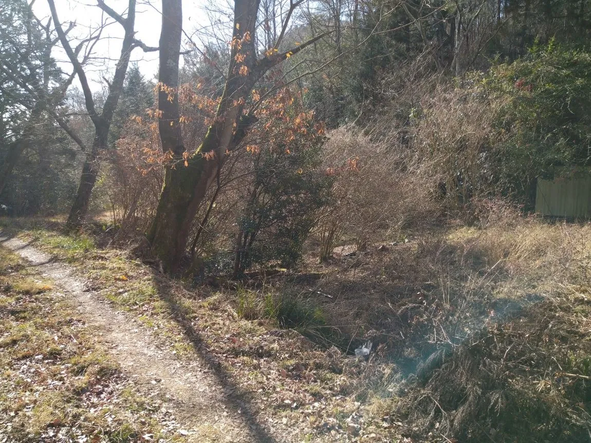 【土地紹介】兵庫県宝塚市～波豆下山の山林～