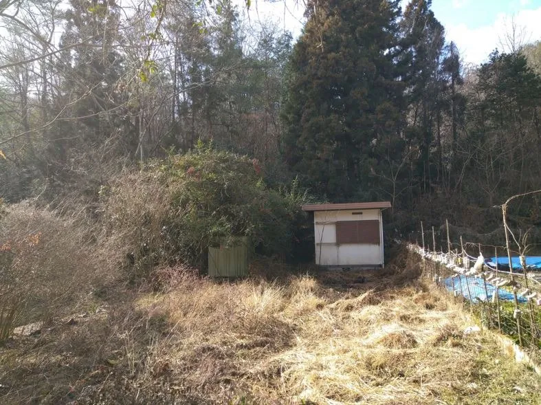 【土地紹介】兵庫県宝塚市～波豆下山の山林～